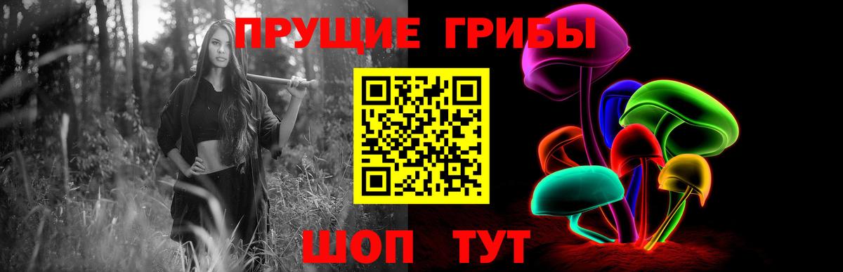 как найти закладки  Галлюциногенные грибы Magic Shrooms  Галлюциногенные грибы Psilocybe  Вход с VPN  Орехово-Зуево 